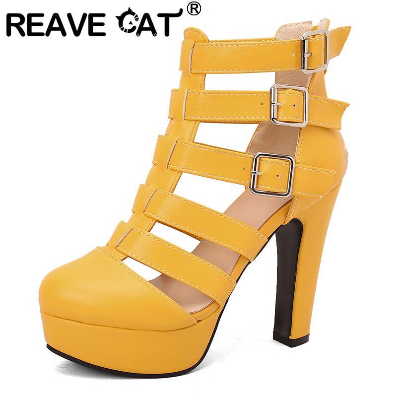 REAVE CAT Luxury Female Sandal - Women Shoes Zipper review and price