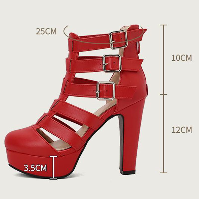 REAVE CAT Luxury Female Sandal - Women Shoes Zipper review and price